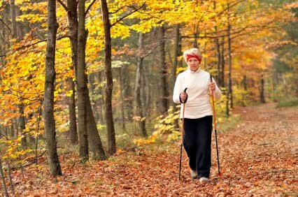  Eine Dame, Nordic Walking im Wald