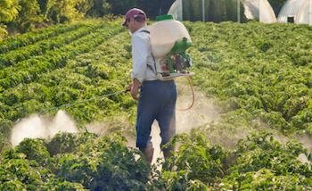  Farmer Spritz seine Kulturen mit Pestiziden