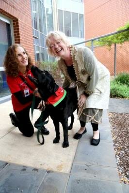  Therapie-Hund mit Forscher
