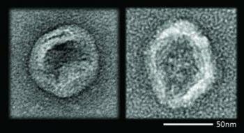  Virus vs Nanovorrichtung