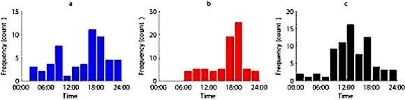  Diurnal Konzentration der Gräserpollen