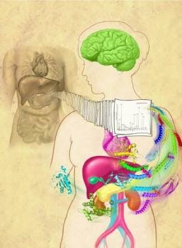  Die Human Proteome