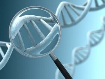  dna unter einer Lupe