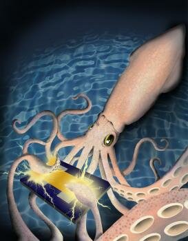  Protein in Tintenfisch Haut genannt reflectin können positive elektrische Ladungen durchzuführen