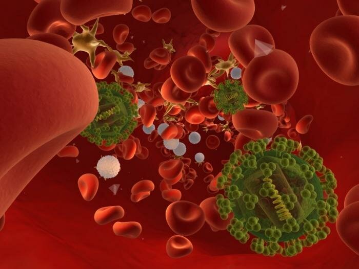  HIV-Virus und Blutzellen