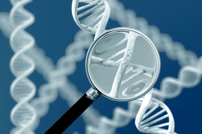  DNA Lupe