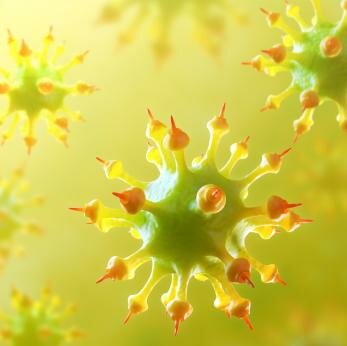  Virus