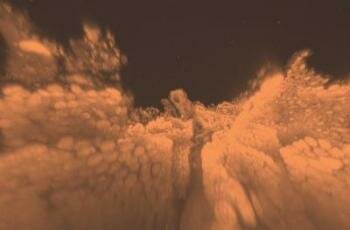  3D-Visualisierung von Intact Darmgewebe
