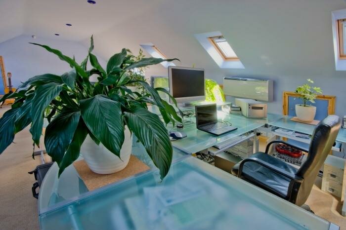  Home-Office mit Pflanzen