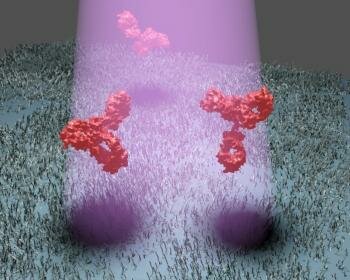  Einzel unmarkierten Proteinen durch den schwachen Schatten identifiziert, die die Biomoleküle zu produzieren , wenn sie Licht streuen