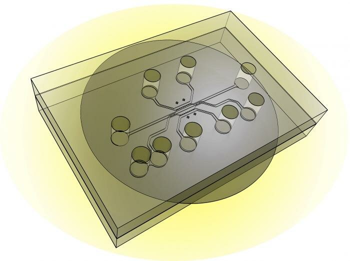  Purdue Mikrochip