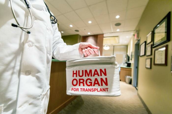  Organspende