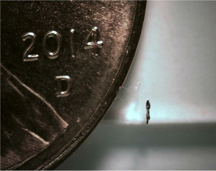  Seitenansicht der Mikroroboter neben einem US- Cent