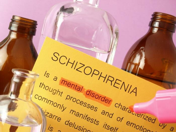  Definition der Schizophrenie